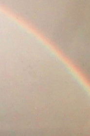 The Forcing (epilogue)