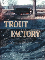 Trout Factory