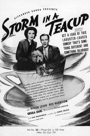 Storm in a Teacup постер