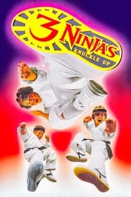 3 Ninjas Knuckle Up (1995) poster