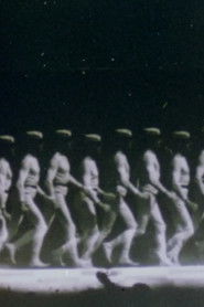 The Memory of the Eye E.J. Marey (1986)