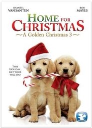 A Golden Christmas 3