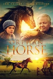 Orphan Horse (2018) Orphan Horse (2018)