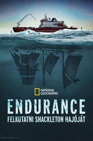 Endurance: Felkutatni Shackleton hajóját (2024)