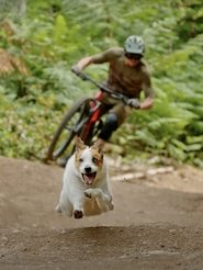 A Dog's Tale 2021 Акысыз Чексиз мүмкүндүк
