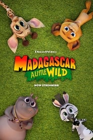 Madagascar: A Little Wild постер