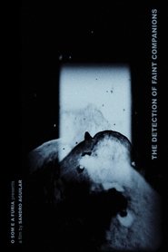 Poster The Detection of Faint Companions 2021