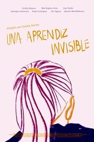 Una aprendiz invisible