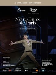 Poster Notre-Dame de Paris (Opéra Bastille)