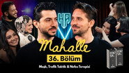 Episode 36