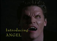 Introducing Angel