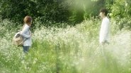 Alice: Boy from Wonderland en streaming