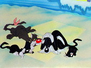 Kitty Kornered