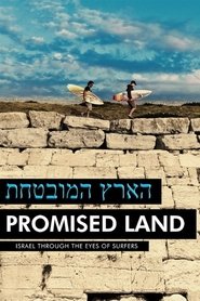 Poster הארץ המובטחת 2013