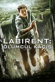 Labirent: Ölümcül Kaçış 2014