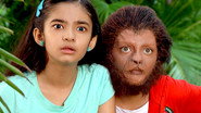 Kalpavruksh GoesMissing