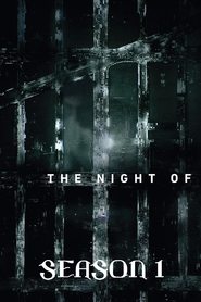 The Night Of Season 1 Episode 7