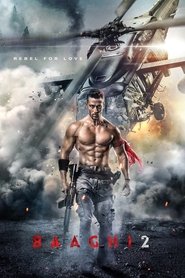 Baaghi 2 2018 吹き替え 無料動画