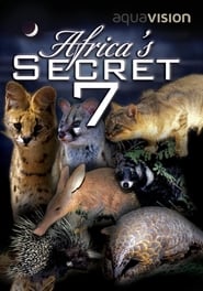 Poster Africa's Secret Seven