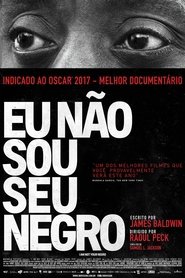 Eu Não Sou Seu Negro