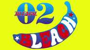 Bleach 1x2