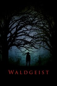 Waldgeist постер