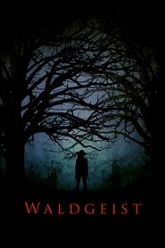 Poster Waldgeist 2017
