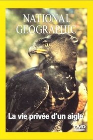Poster National Geographic La vie d'un aigle 1970