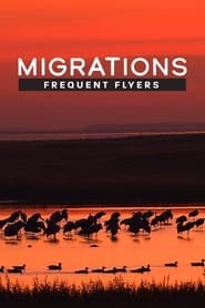 Poster Migrations: Frequent Flyers