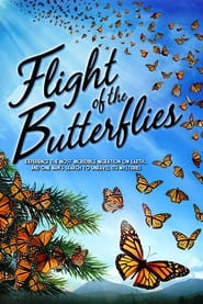 Flight of the Butterflies постер