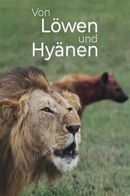 Poster Von Löwen und Hyänen