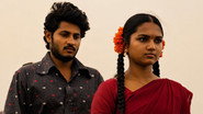 Aanavaallu