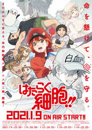 Cells at Work! Cells at Work!! 18
