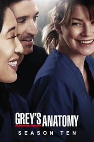 Grey's Anatomy Season 12