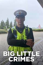 Poster Big Little Crimes - Series 1 2024