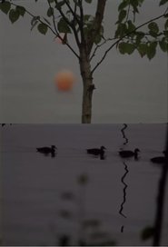 Poster Cove 2012