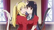 Nekomimi Academy Hyakkaou