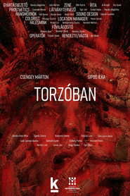 Torzóban
