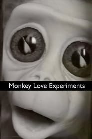 Poster Monkey Love Experiments