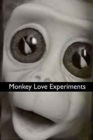 Poster Monkey Love Experiments 2014