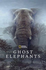 Ghost Elephants (2026)