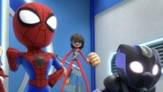 Spidey and Iron Man: Avengers Team-Up!