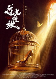 Steadfast Woman poster