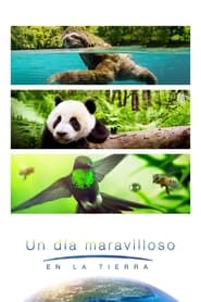 Un día maravilloso en la Tierra