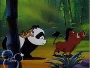 Timón y Pumba 2x13