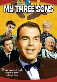 My Three Sons Season 4 Episode 4