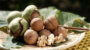 Walnuts