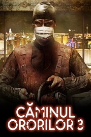 Căminul ororilor 3 (2011)