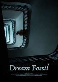 Dream Fossil (2024)