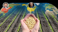 The soybean, a geopolitical crop